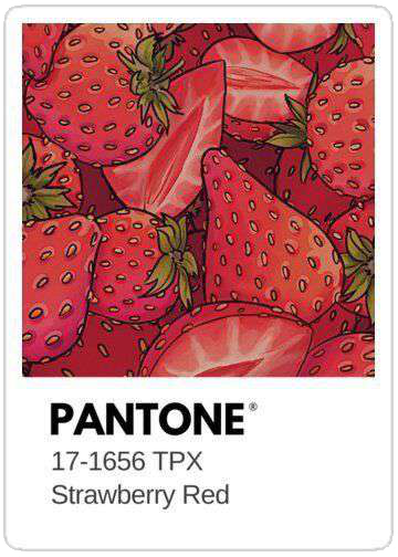 Pantone card