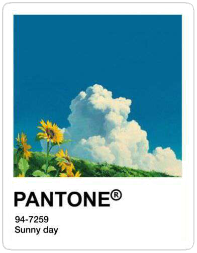 Pantone card